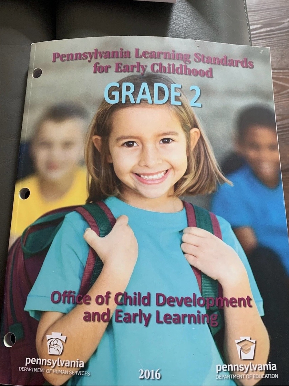 Pennsylvania Learning Standards Grade 2 Book - Teal Cover